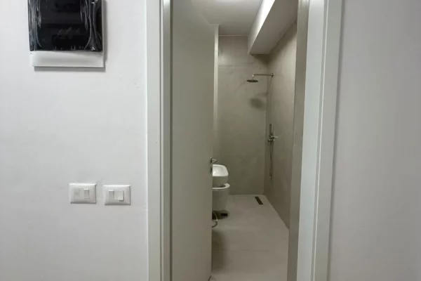 Shtepi me qera Apartament ne Tirane, 1+1, Mobilimi E mobiluar, Pagesa 45,000  Leke.