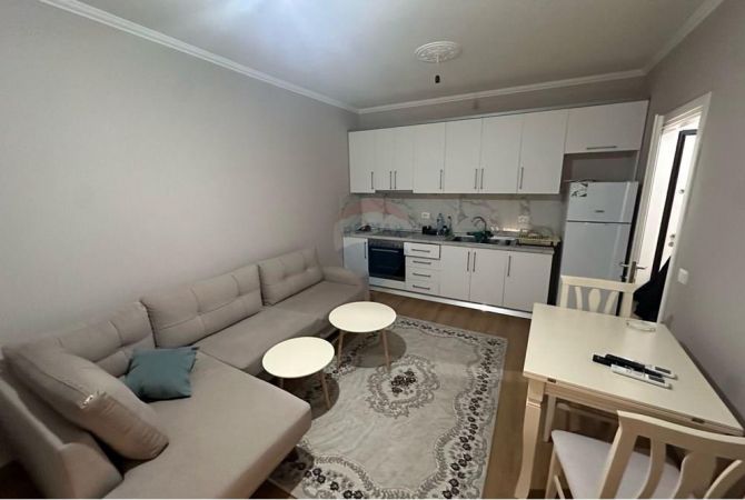 Apartament  2+1 