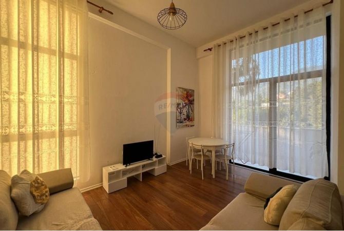 Shtepi me qera Apartament ne Tirane, 2+1, Mobilimi E mobiluar, Pagesa 320  Euro.