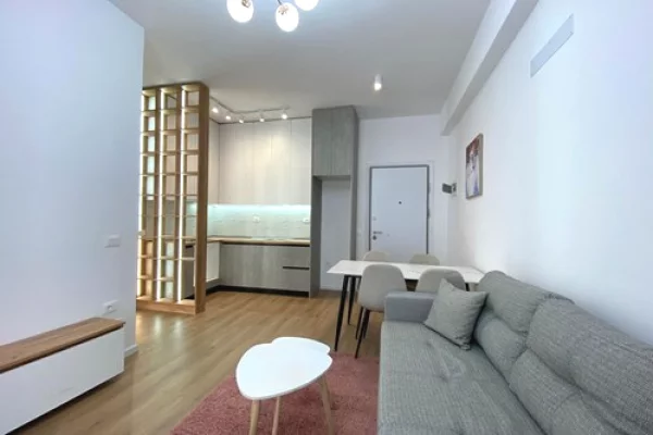 Shtepi me qera Apartament ne Tirane, 1+1, Mobilimi E mobiluar, Pagesa 400  Euro.