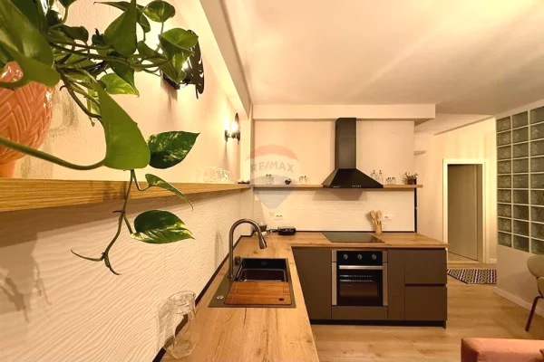 Shtepi me qera Apartament ne Tirane, 1+1, Mobilimi E mobiluar, Pagesa 570  Euro.