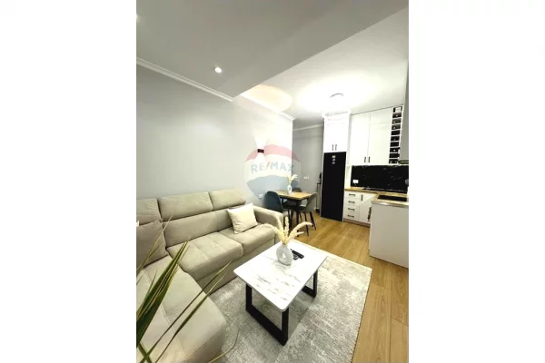 Shtepi ne shitje Apartament ne Tirane, 1+1, Mobilimi E mobiluar, Pagesa 119,000  Euro.