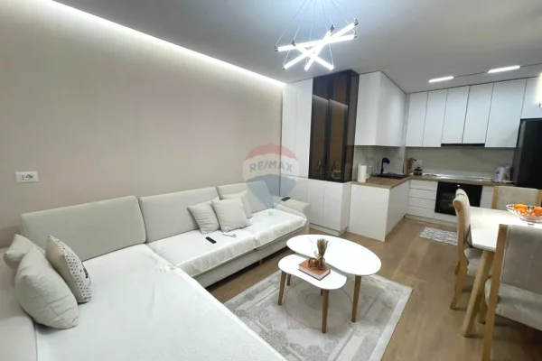 Shtepi ne shitje Apartament ne Tirane, 1+1, Mobilimi E mobiluar, Pagesa 110,000  Euro.