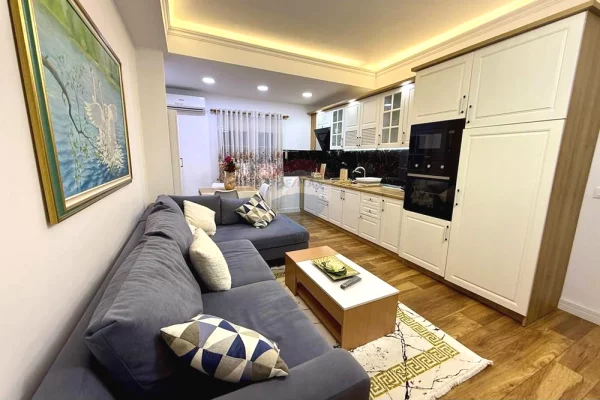 Shtepi me qera Apartament ne Tirane, 1+1, Mobilimi E mobiluar, Pagesa 65,000  Leke.
