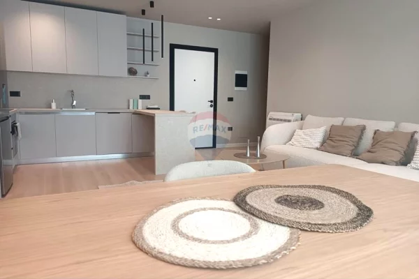 Shtepi me qera Apartament ne Tirane, 2+1, Mobilimi E mobiluar, Pagesa 1,000  Euro.