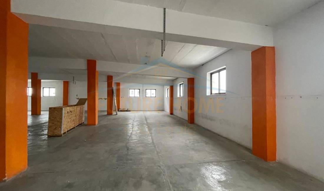 Qira, Magazine, Siri Kodra.//PRO+24741