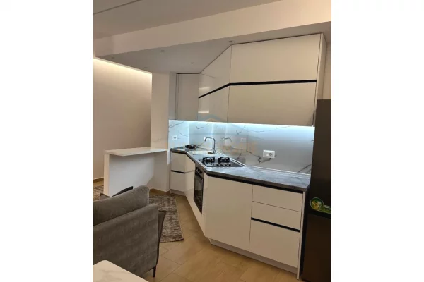 Shtepi me qera Apartament ne Tirane, 1+1, Mobilimi E mobiluar, Pagesa 830  Euro.