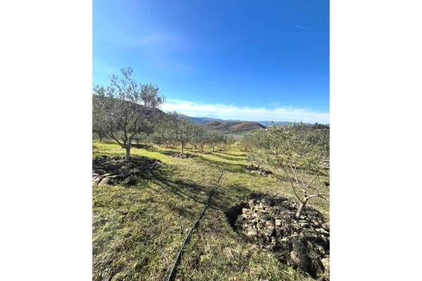 Land for Sale in Tirana - 250,000 Euro