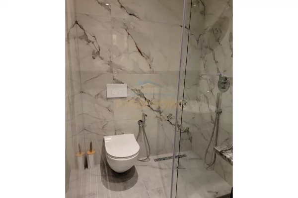 Shtepi me qera Apartament ne Tirane, 1+1, Mobilimi E mobiluar, Pagesa 55,000  Leke.