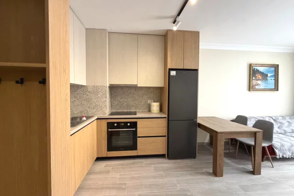 Shtepi me qera Apartament ne Tirane, 1+1, Mobilimi E mobiluar, Pagesa 450  Euro.