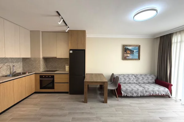 Shtepi me qera Apartament ne Tirane, 1+1, Mobilimi E mobiluar, Pagesa 450  Euro.
