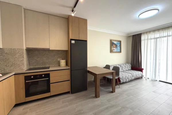 Shtepi me qera Apartament ne Tirane, 1+1, Mobilimi E mobiluar, Pagesa 450  Euro.