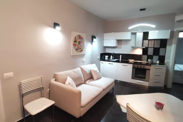 Shtepi ne shitje Apartament ne Tirane, 1+1, Mobilimi E mobiluar, Pagesa 105,000  Euro.