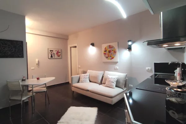 Shtepi ne shitje 1+1 ne Tirane - 105,000 Euro
