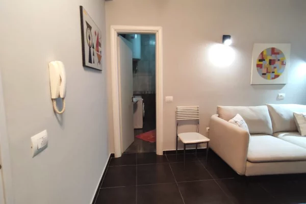 Shtepi ne shitje Apartament ne Tirane, 1+1, Mobilimi E mobiluar, Pagesa 105,000  Euro.