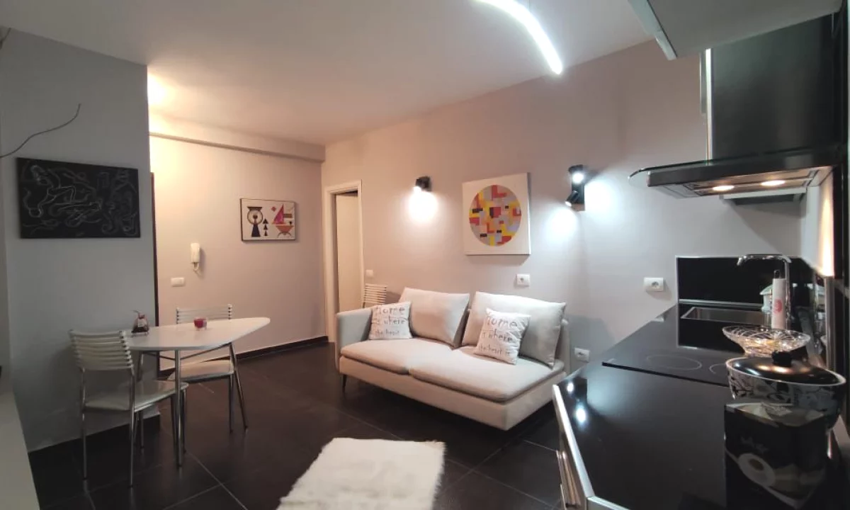 Shtepi ne shitje Apartament ne Tirane, 1+1, Mobilimi E mobiluar, Pagesa 105,000  Euro.