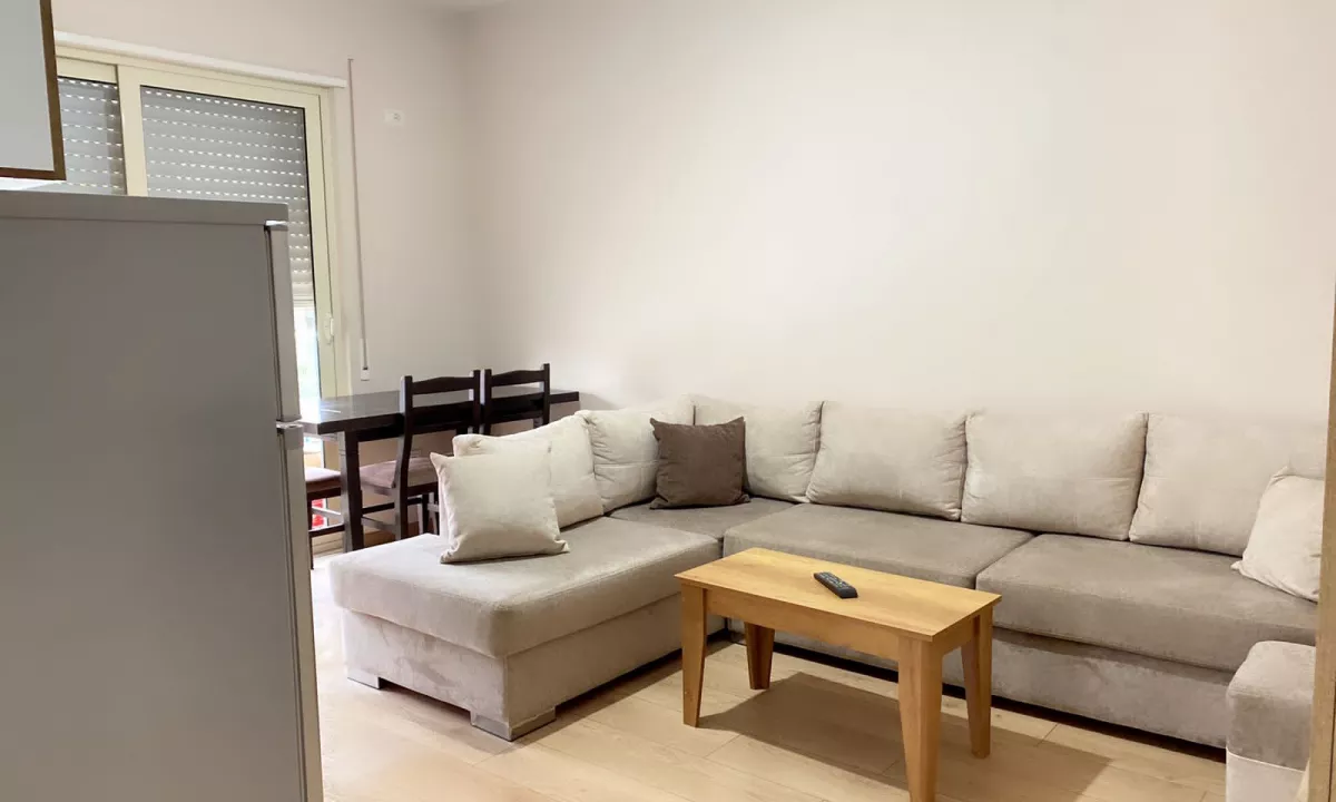 Shtepi me qera Apartament ne Tirane, 1+1, Mobilimi E mobiluar, Pagesa 300  Euro.