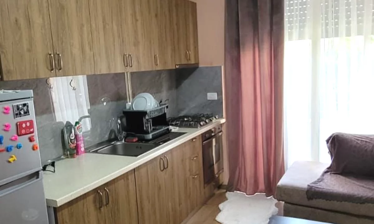 Shtepi me qera Apartament ne Tirane, 1+1, Mobilimi E mobiluar, Pagesa 300  Euro.