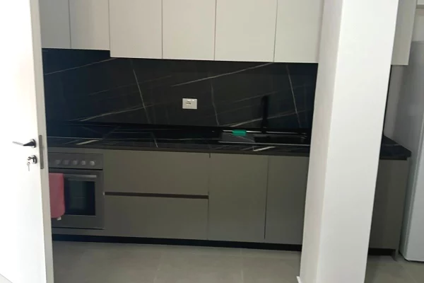 House for Rent Apartment in Tirana, 1+1, Furniture Furnished, Payment 40,000  Leke.