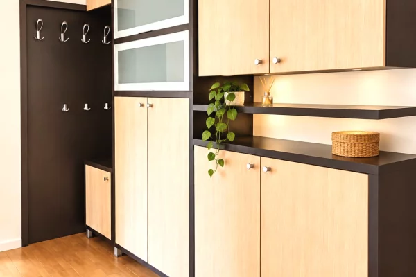 Shtepi me qera Apartament ne Tirane, 1+1, Mobilimi E mobiluar, Pagesa 45,000  Leke.