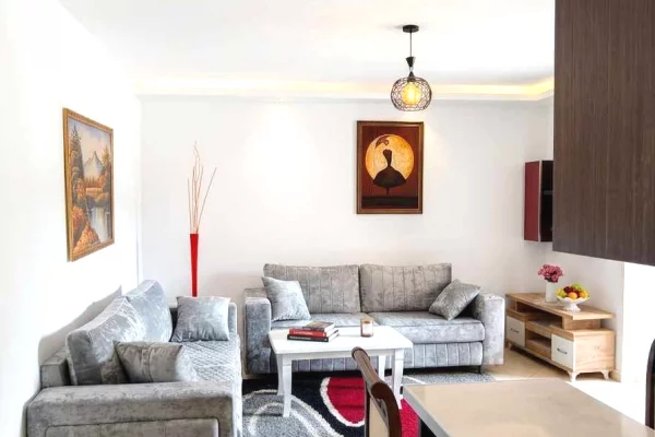 Shtepi me qera Apartament ne Lushnje, 1+1, Mobilimi E mobiluar, Pagesa 230  Euro.