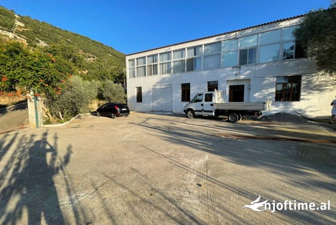 Ambiente Commerciale in Affitto 4+1 a Tirana - 600 Euro