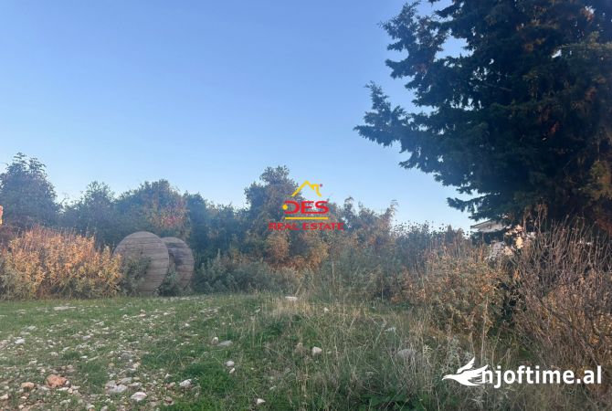 SHITET TOKE TRUALL 342m2 NE SARANDE