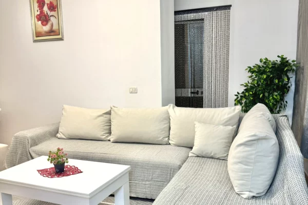 Shtepi me qera Apartament ne Tirane, 1+1, Mobilimi E mobiluar, Pagesa 400  Euro.