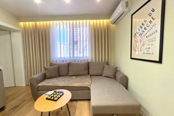 Shtepi ne shitje Apartament ne Tirane, 1+1, Mobilimi E mobiluar, Pagesa 187,000  Euro.