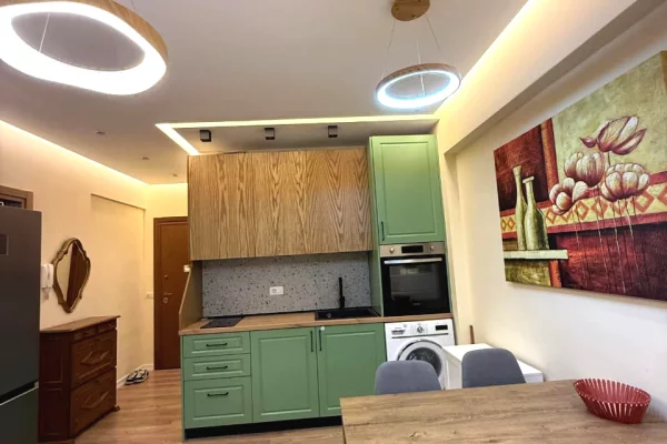 Shtepi me qera Apartament ne Tirane, 1+1, Mobilimi E mobiluar, Pagesa 50,000  Leke.