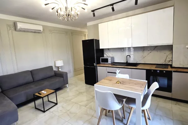 Shtepi me qera Apartament ne Tirane, 1+1, Mobilimi E mobiluar, Pagesa 800  Euro.