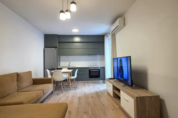 Shtepi me qera Apartament ne Tirane, 1+1, Mobilimi E mobiluar, Pagesa 65,000  Leke.