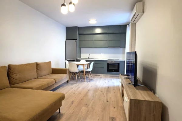 Shtepi me qera 1+1 ne Tirane - 65,000 Leke