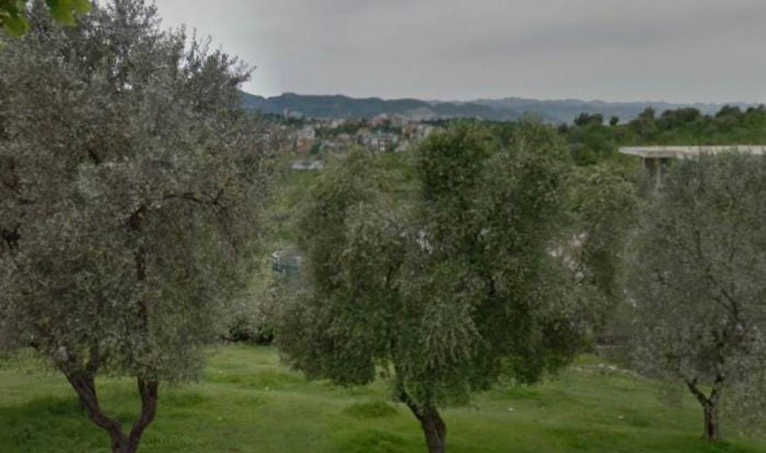 Shitet Truall: 16,730m2 📍Ne Farke Rr. Kryesore (100Euro/m2) Me Hipoteke - Toke E Kuqe (Intensitet 0.6)