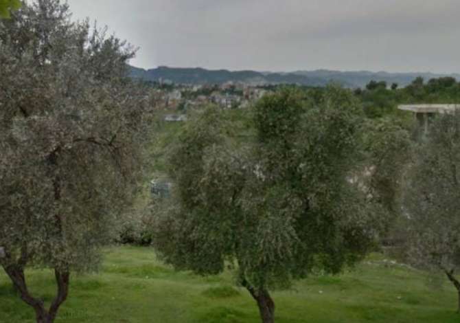 Shitet Truall: 16,730m2 📍Në Farkë Rr. Kryesore (100€/m2) Me Hipoteke - Toke E Kuqe (Intensitet 0.6)