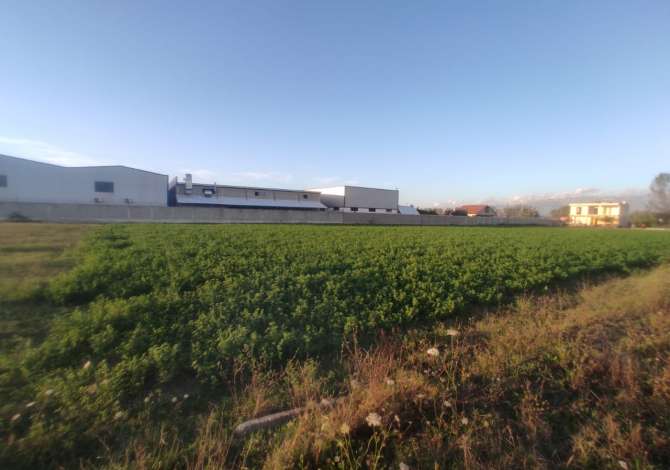 SHITET Toke (4000m2) Ne Bërxullë, shume prane MEGATEK, Rr. Rinasit - me Doc te Rregullt