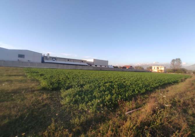 SHITET Toke (4000m2) Ne Berxulle, shume prane MEGATEK, Rr. Rinasit - me Doc te Rregullt