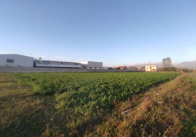 SHITET Toke (4000m2) Ne Berxulle, shume prane MEGATEK, Rr. Rinasit - me Doc te Rregullt