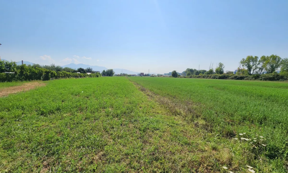 🟤 Shitet Toke 3500m2 Pas Megatek 🏬 ( Autostrada - Tirane - Durres 📍) 165K - Vendodhje Strategjike