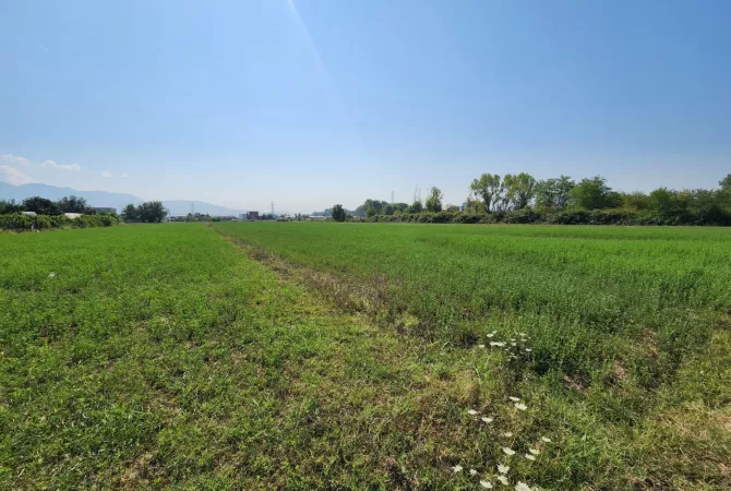 🟤 Shitet Toke 3500m2 Pas Megatek 🏬 ( Autostrada - Tirane - Durres 📍) 165K - Vendodhje Strategjike