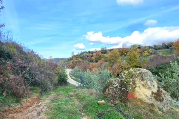 🌍 SHITET: Toke Are 604 m2 Brenda ne Fshat me Pamje nga Pylli & Lumi📍Ne Fshatin IBE 39.200Euro 🏕