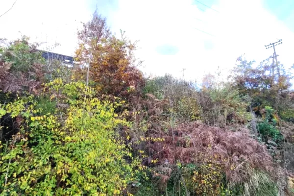 Truall ose Toke ne Tirane - 280,000 Euro