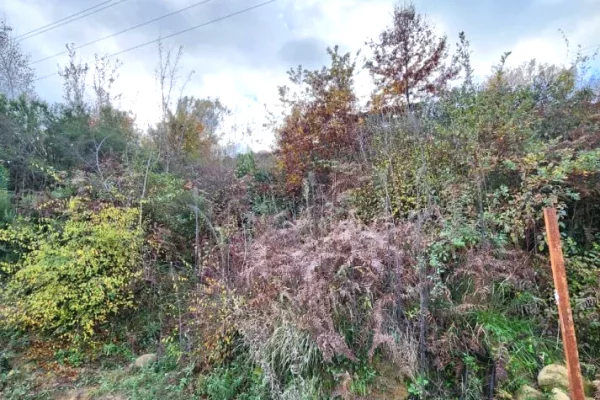 Truall ose Toke ne Tirane - 280,000 Euro