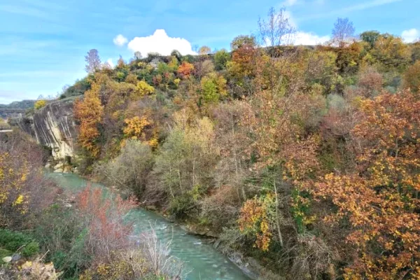 🌍 SHITET: Tokë Arë 604 m² Brenda në Fshat me Pamje nga Pylli & Lumi📍Në Fshatin IBË 39.200€ 🏕