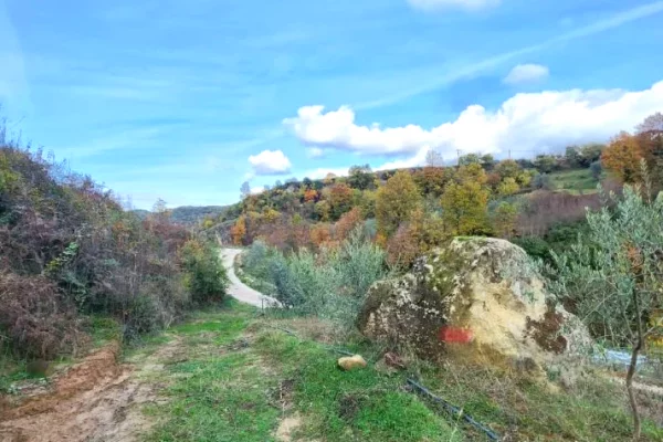 🌍 SHITET: Toke Are 604 m2 Brenda ne Fshat me Pamje nga Pylli & Lumi📍Ne Fshatin IBE 39.200Euro 🏕