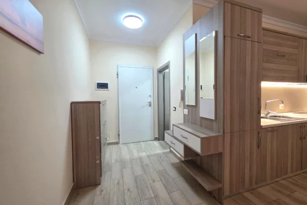 Shtepi me qera Apartament ne Tirane, 1+1, Mobilimi E mobiluar, Pagesa 54,000  Euro.