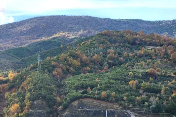 Truall ose Toke ne Tirane - 500,000 Euro