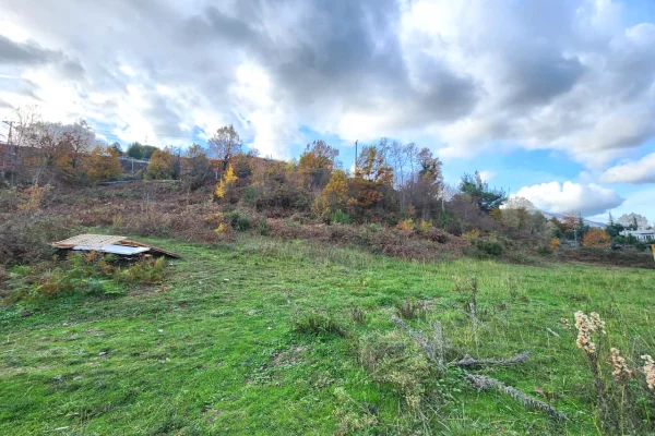 🌍 SHITET: Toke Are 604 m2 Brenda ne Fshat me Pamje nga Pylli & Lumi📍Ne Fshatin IBE  39.200Euro 🏕