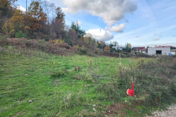 🌍 SHITET: Toke Are 604 m2 Brenda ne Fshat me Pamje nga Pylli & Lumi📍Ne Fshatin IBE  39.200Euro 🏕