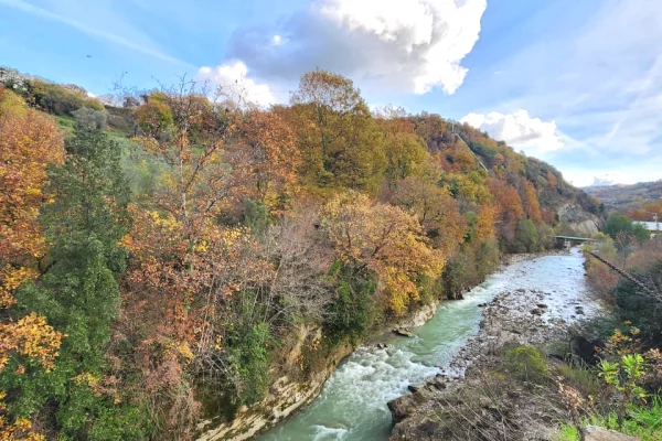 🌍 SHITET: Toke Are 604 m2 Brenda ne Fshat me Pamje nga Pylli & Lumi📍Ne Fshatin IBE  39.200Euro 🏕